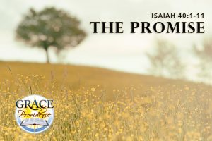 isaiah-40-the-promise